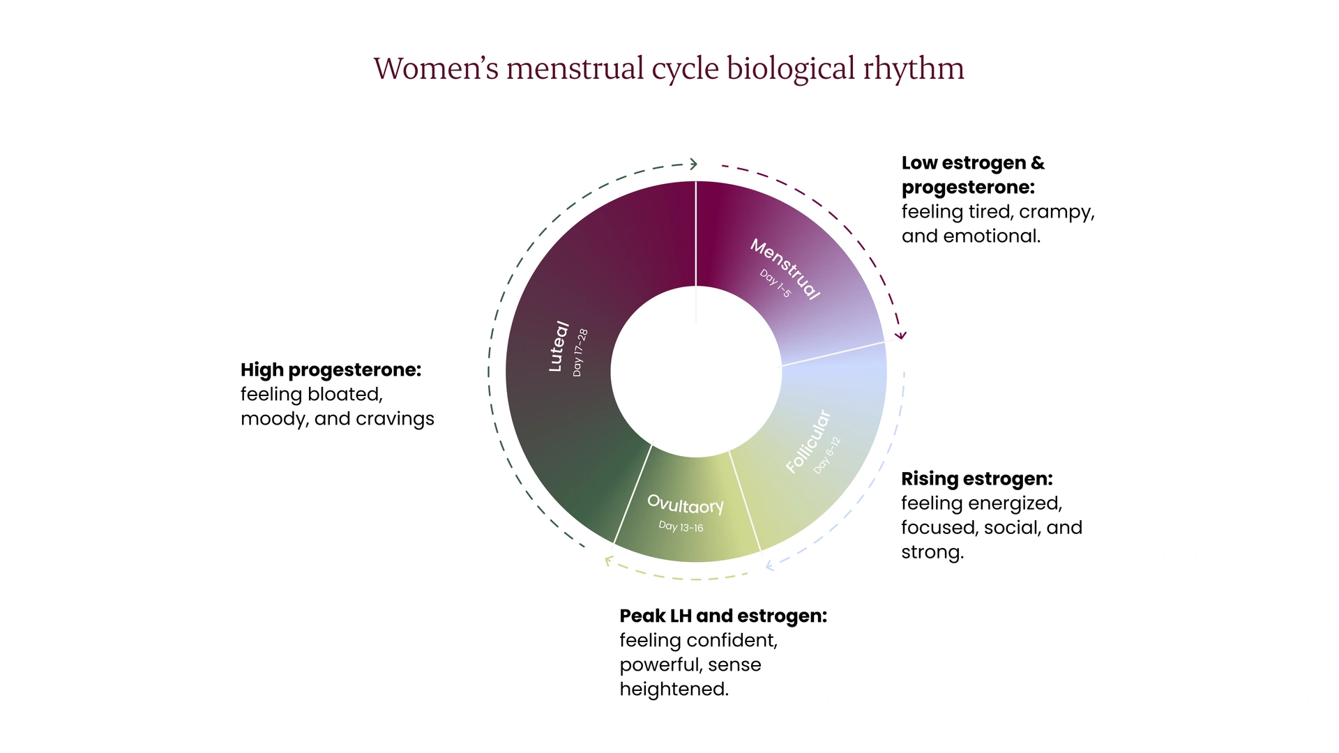 Nalu research diagram of menstrual cycle phases and associated hormone changes