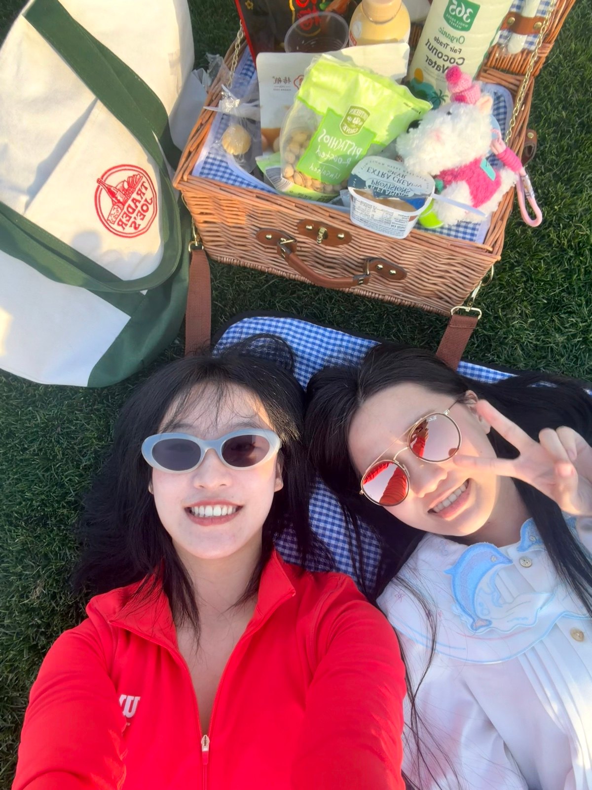 A picnic with a friend